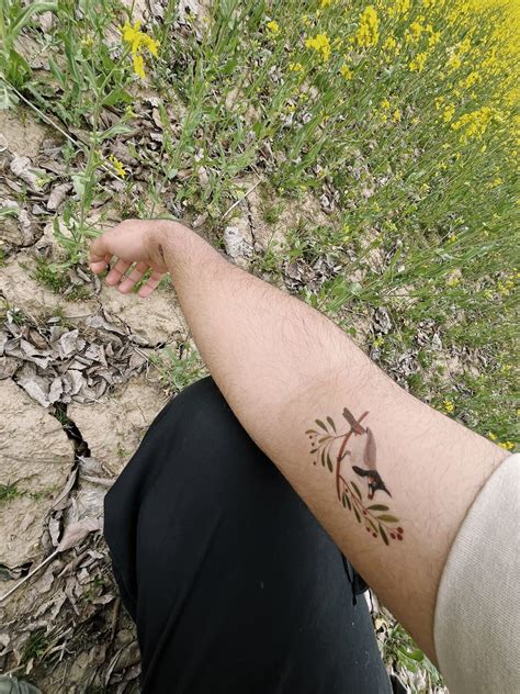 Summer Song – Anomalie Tattoo Co