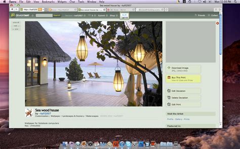 Image result for Opera Customization