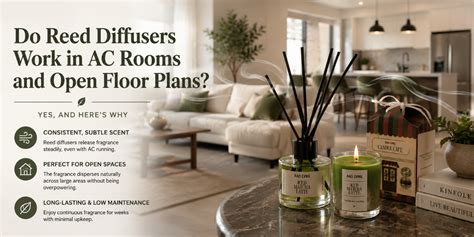 Do Reed Diffusers Work in AC Rooms and Open Floor Plans? – RAD LVNG