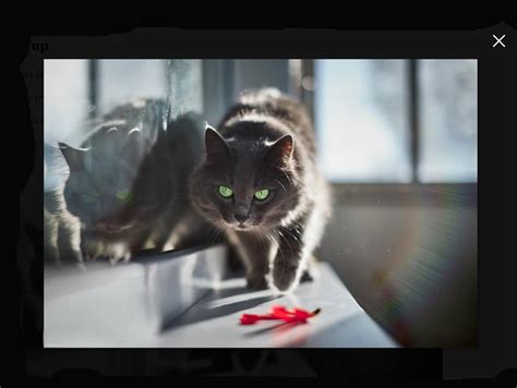 Image result for JavaScript Open a Box Image