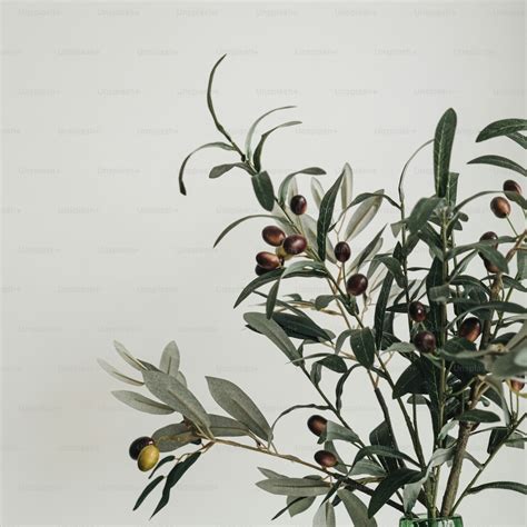 Restful API in JavaScript 的图像结果