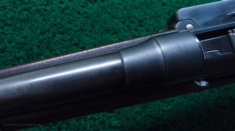 Image result for Springfield Model 1894