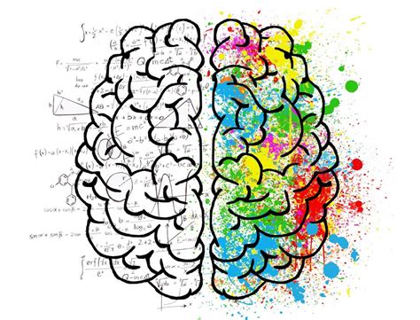 La split vision en la psicología y cognición humana