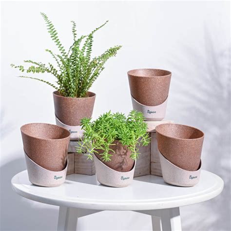 Self Watering Pots Online - Buy Self Watering Planters Online in India ...