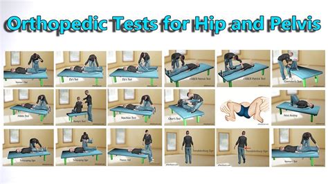 Image result for Pelvic Spring Test