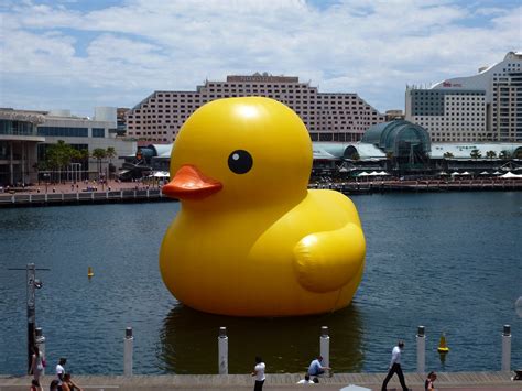 Giant Rubber Duck Wallpaper - WallpaperSafari