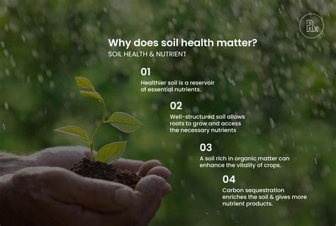 Why Is Soil Important