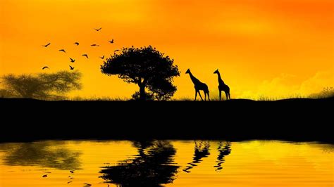 Download African Silhouette Sunset Art Wallpaper | Wallpapers.com