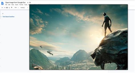 Enlarge Google 的图像结果