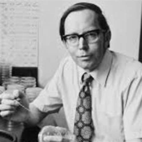 10 abr 2002 año - 2002- Hopwood y col. realizaron la secuenciación del ...