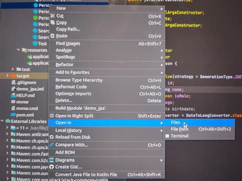 How to Make a Java File in IntelliJ 的图像结果