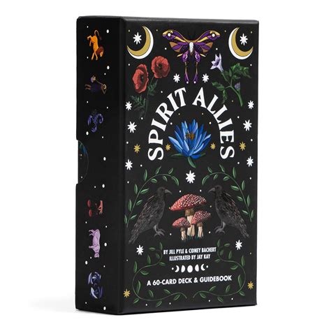 Spirit Allies Oracle A 60 Card Deck And Guidebook | Desertcart INDIA