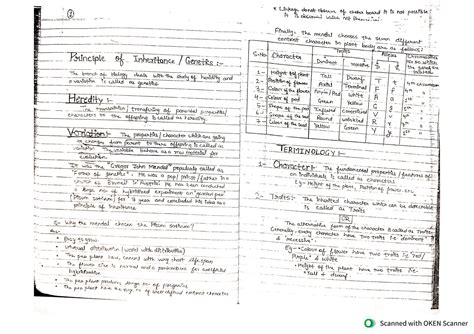 Principle of Inheritance Class 12 One Shot 的图像结果