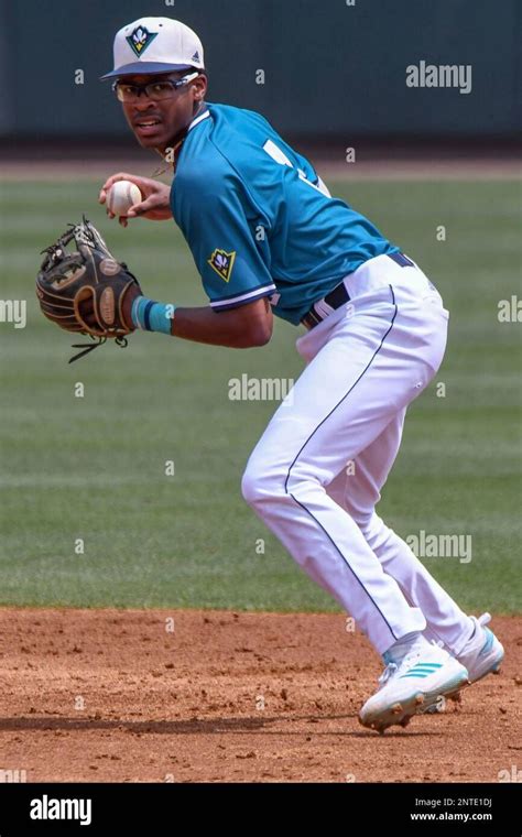 North Carolina Tar Heels at UNCW Seahawks Baseball, Brooks Field ...