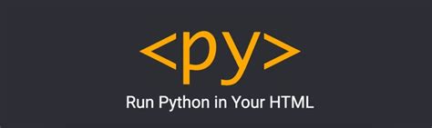 Image result for Python Front End Design Tutorial Pyscript