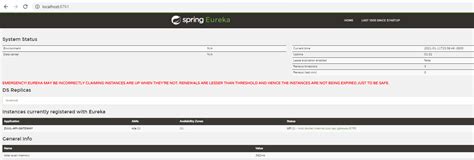 Image result for Eureka Spring Boot