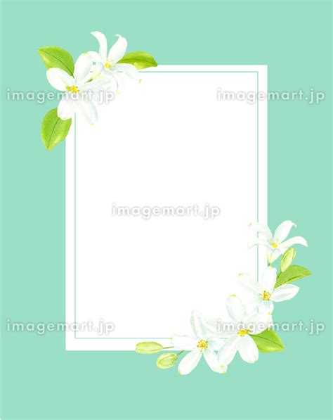 Image result for Java Display Choices