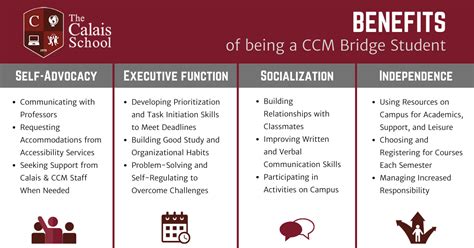 Image result for College Bridge Programs