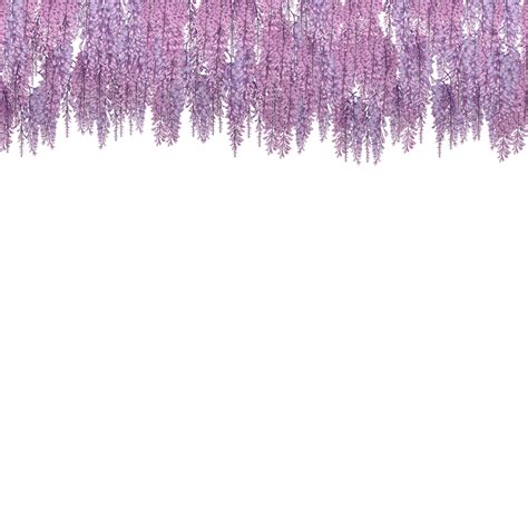 Hanging Flower Wisteria, Hanging Flowers, Wisteria Flower, Hanging Tree ...