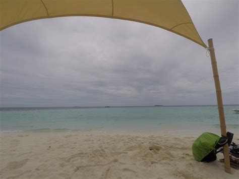 SUNDIVE LODGE MALDIVES - Guesthouse Reviews & Photos (Mahibadhoo Island ...
