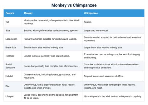 Monkey vs Chimpanzee