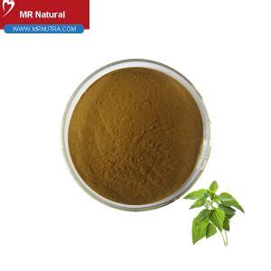 Making Nettle Extract 的图像结果