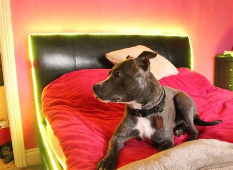 Image result for Arduino Light Projects