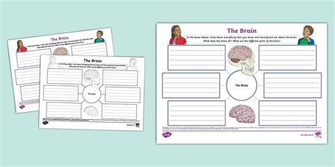 Brain Map 的图像结果