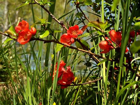 Pixabay Free High Resolution 的图像结果