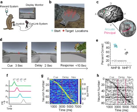 Image result for Neural Coding