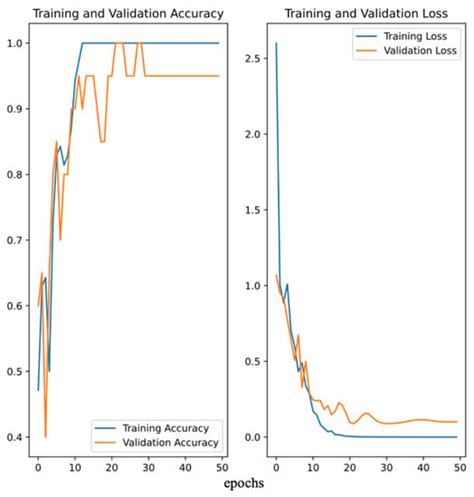 Using Machine Learning Methods to Predict the ß-Poly (L-Malic Acid ...