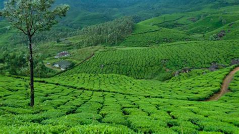 Welcome to Kerala Tourism - Official Website of Department of Tourism ...