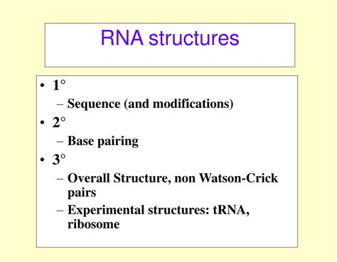 RNA 的图像结果