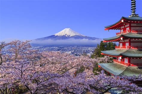 9 Cool Things To Do In Japan | Away and Far