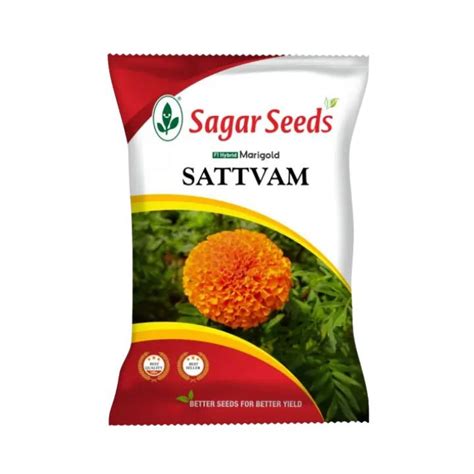 Sagar Satvam F1 Marigold Seeds (100, 500, 1000 Seeds) – Vibrant ...