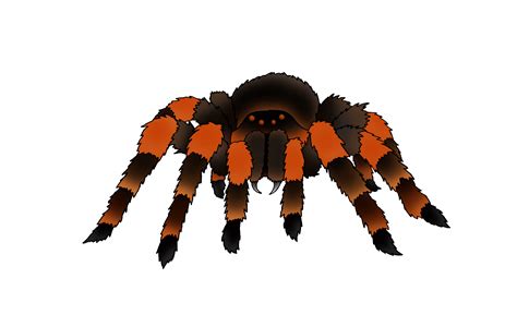 Spider clipart animation, Spider animation Transparent FREE for ...