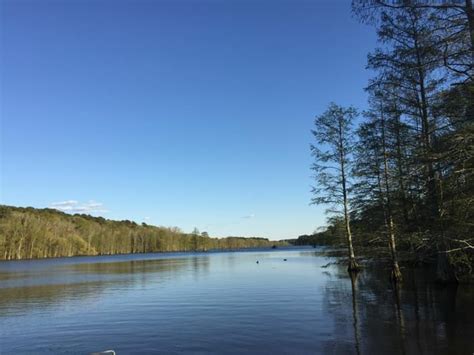 Image result for Stumpy Lake Map