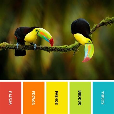 Nature Color 的图像结果