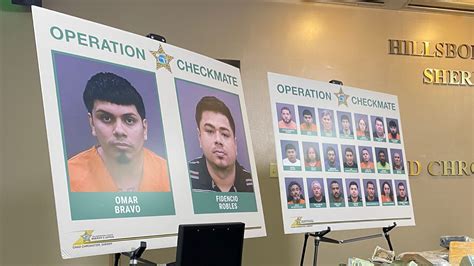 HCSO: 2 top gang leaders, 19 others arrested in drug operation | wtsp.com