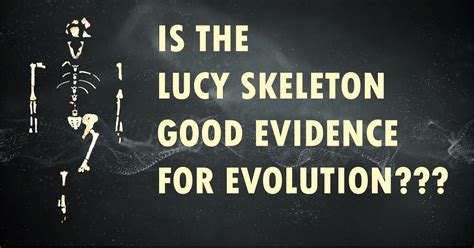 Image result for Lucy Evolution