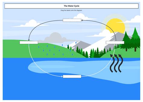 Cycle Graph Template 的图像结果