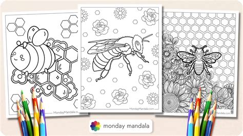 Honey Bee Coloring Pages Printable 28 Honey Bee Coloring Page