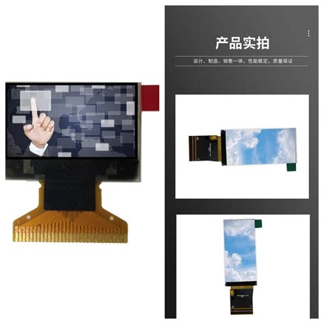 DSLR Camera Screen 的图像结果