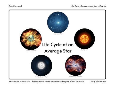 Life Cycle of an Average Star Story of Creation 3 and 4 Part - Etsy India