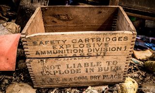 Image result for Explosive Diarrhea Cows