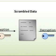 Blockchain Working 的图像结果