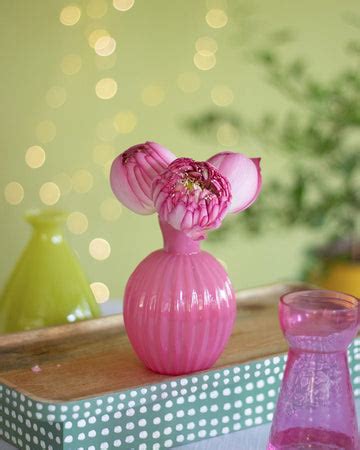 Home Decor Gifts | Planter Vase | Dining Wall Decor | Tea Coffee Mugs ...