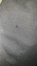 US Polo Association Men's Track Pants (I631-978-CP_Blue Melange_XX ...