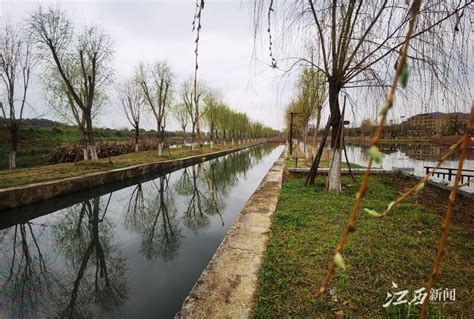 江西新闻：分宜破解臭水沟有秘诀 6公里排水渠植入5个生态湿地 _www.isenlin.cn