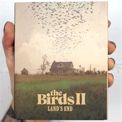 The Birds Ii: Lands End Store | emergencydentistry.com